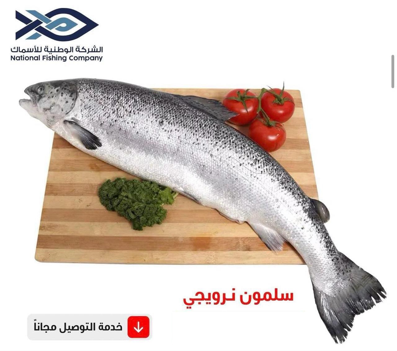 1 kg Nigerian Salmon