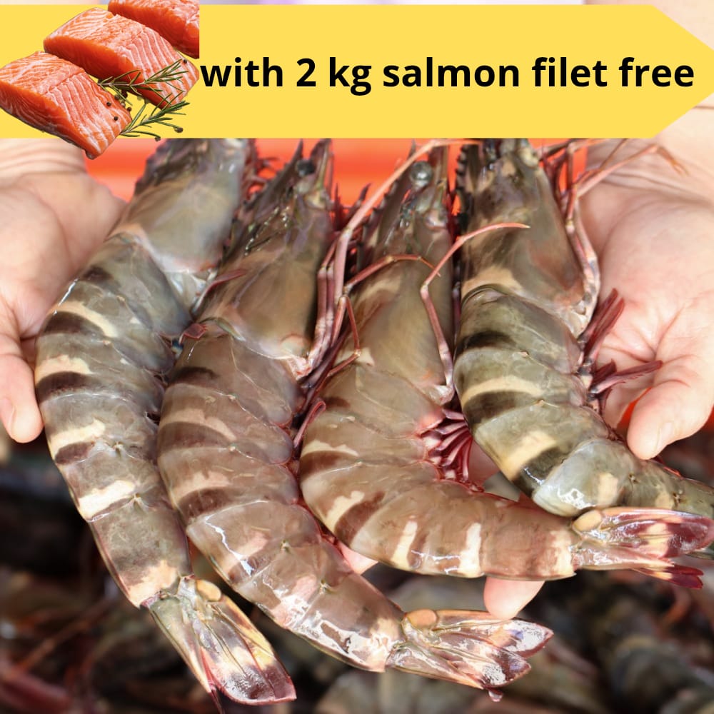 10 kg Emirates Shrimp!!